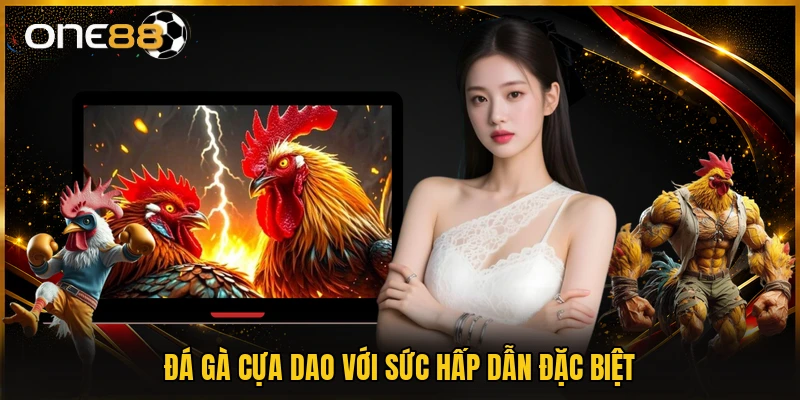 Đá gà cựa dao với sức hấp dẫn đặc biệt