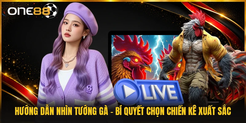 Hướng Dẫn Nhìn Tướng Gà - Bí Quyết Chọn Chiến Kê Xuất Sắc